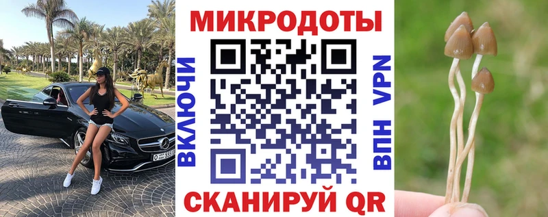 kraken tor  Цимлянск  Псилоцибиновые грибы мухоморы 